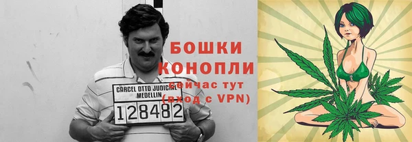 PSILOCYBIN Заволжск