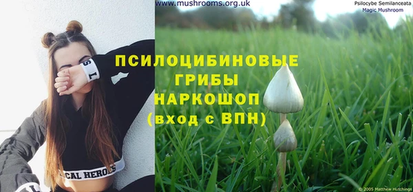 спайс Заволжье