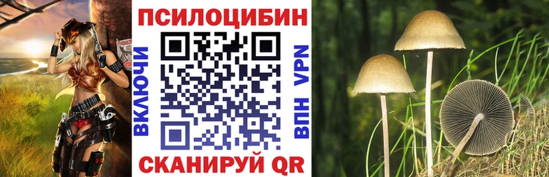 Галлюциногенные грибы GOLDEN TEACHER  наркота  Петров Вал 
